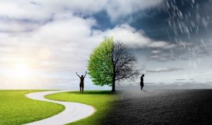 Between Highs and Lows: Understanding Life with Bipolar Disorder