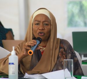 Senator Kibwana Pushes for Action on Maternal Mental Health Gaps