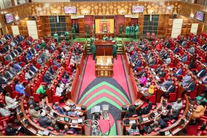 National Assembly Calls for Public Input on Finance Bill 2026