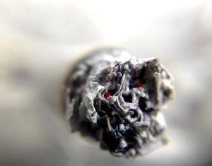 Tobacco Bill Debate: Why Traders Want Kenyans to Have a Bigger Say